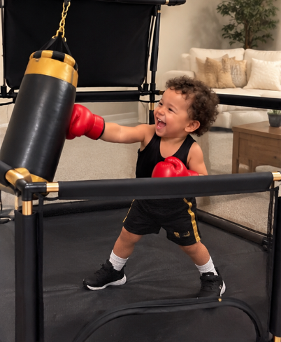 Mini Champ Boxing Ring